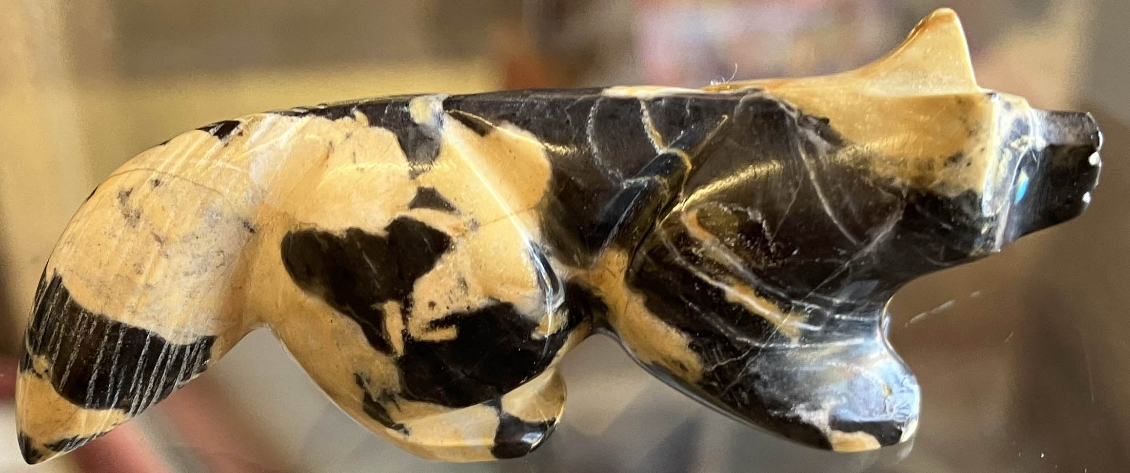 Rosella Lunasee | Zuni Bear Fetish | Penfield Gallery of Indian Arts | Albuquerque, New Mexico